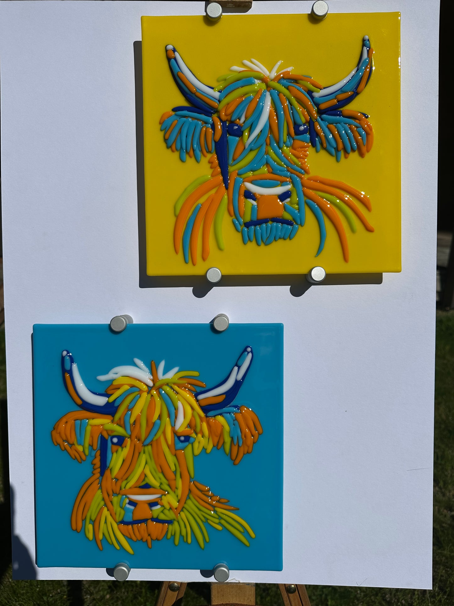 Hairy Coo!