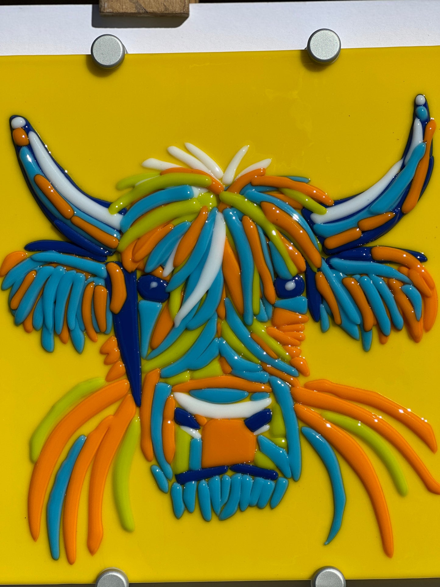 Hairy Coo!