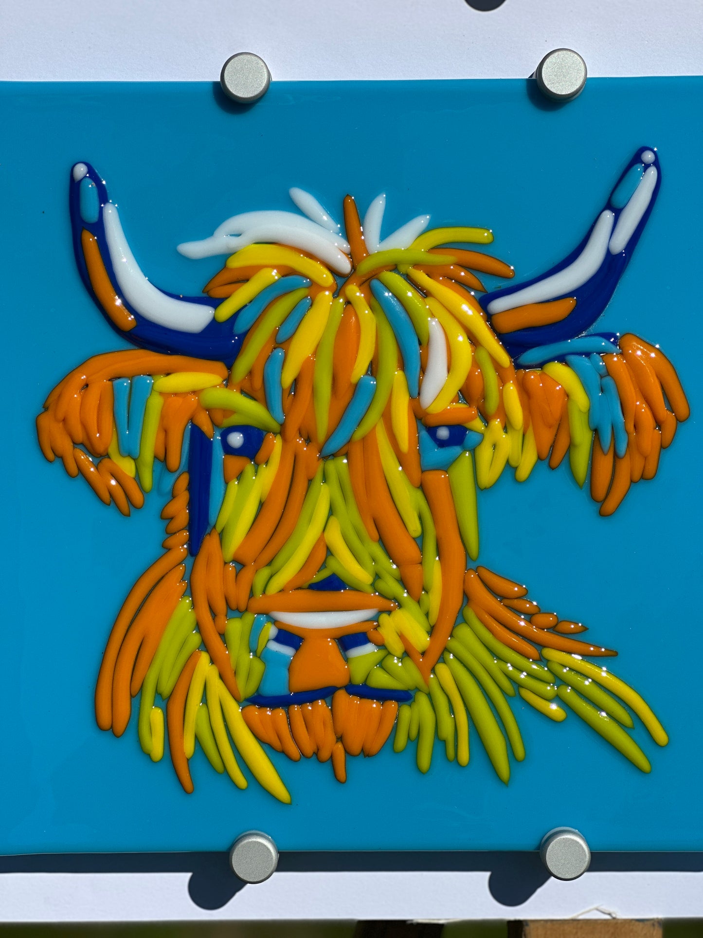 Hairy Coo!