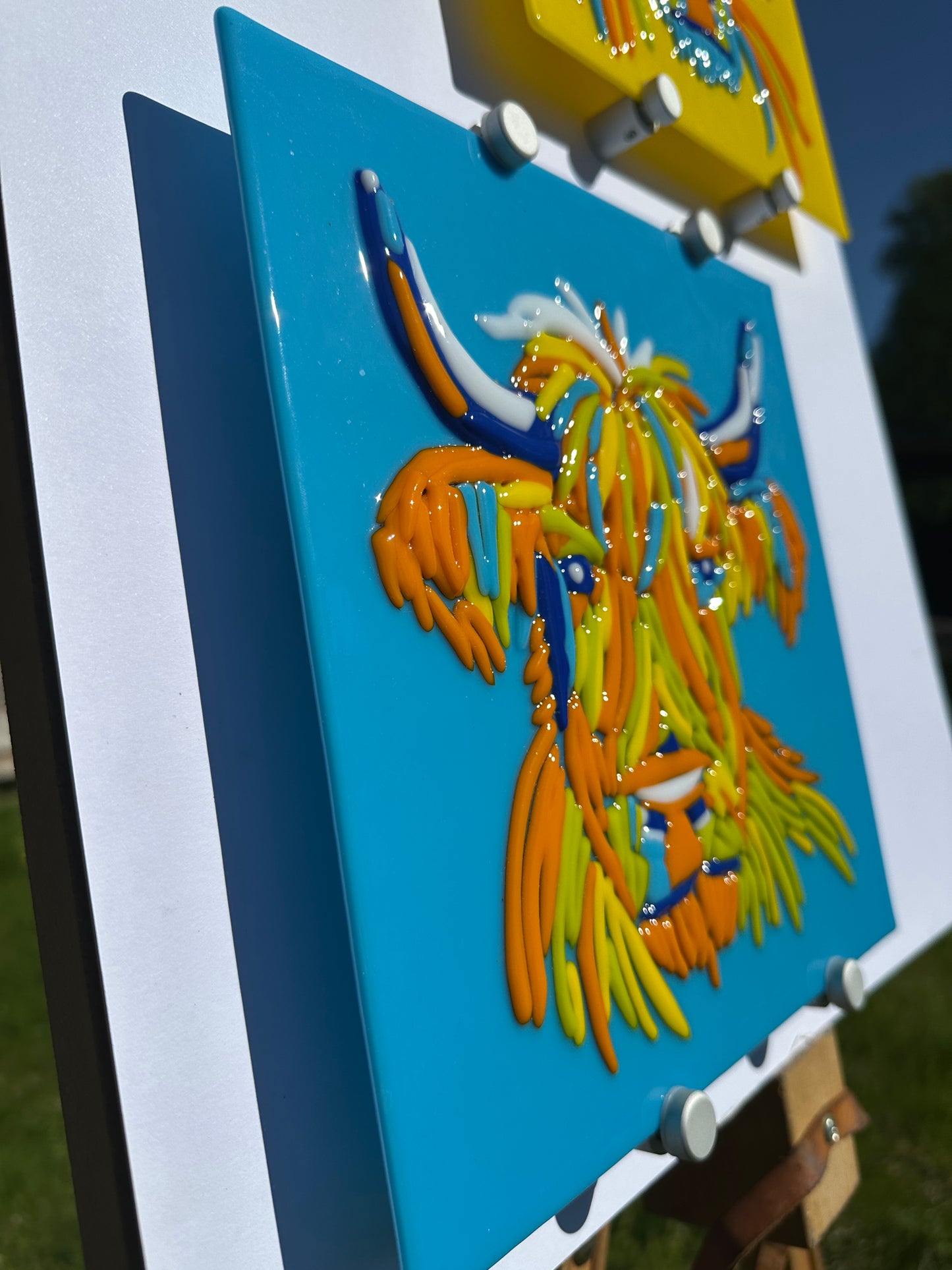 Hairy Coo!