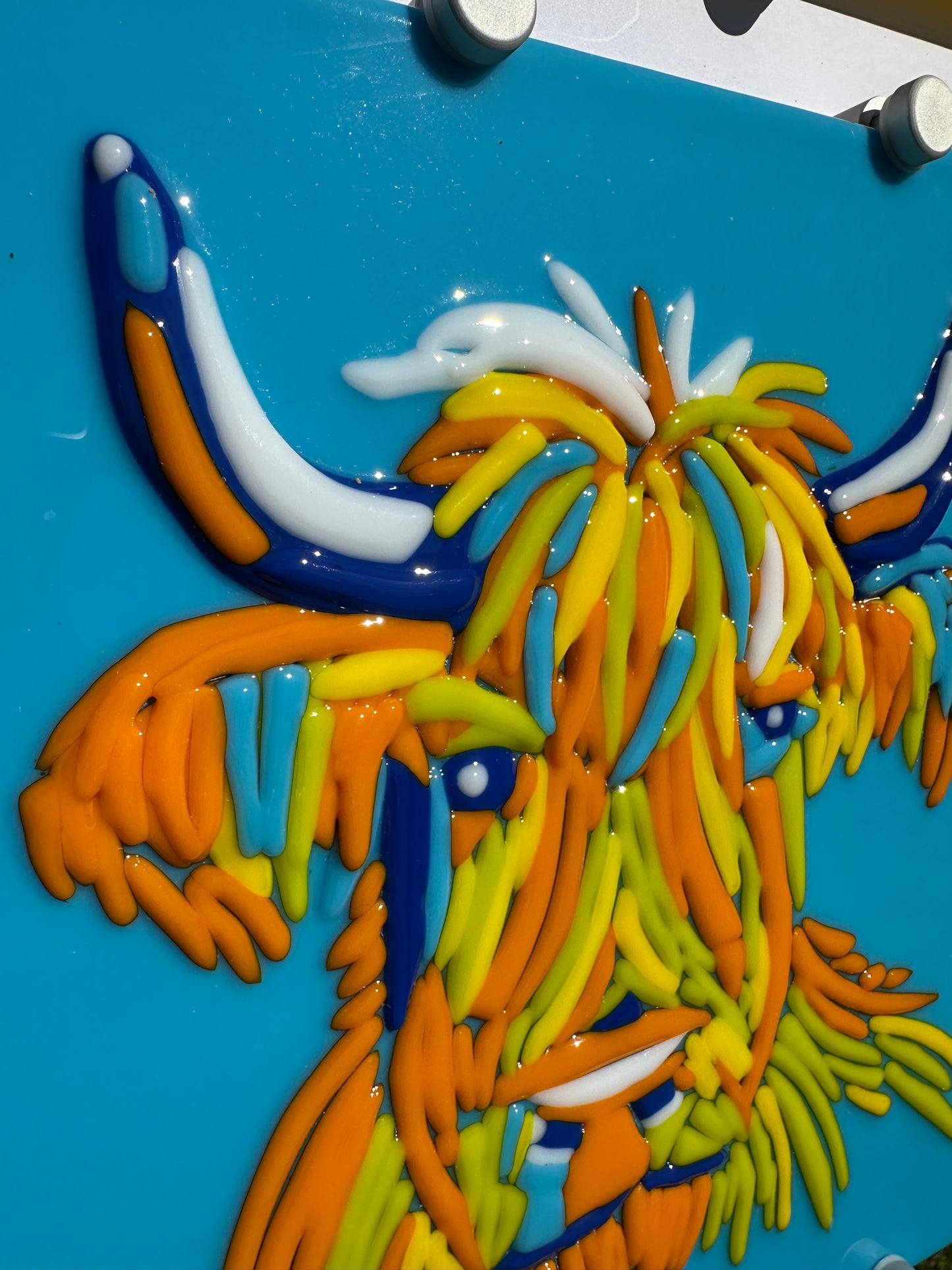 Hairy Coo!