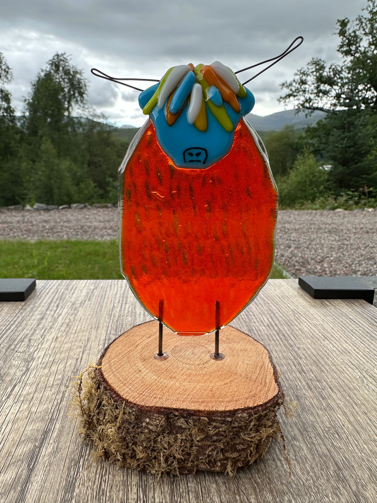 Highland Cow, Large