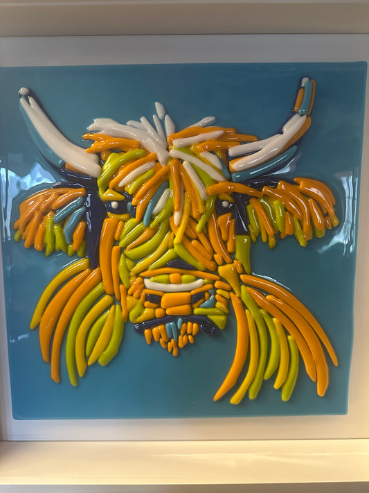 Highland Cow Portrait