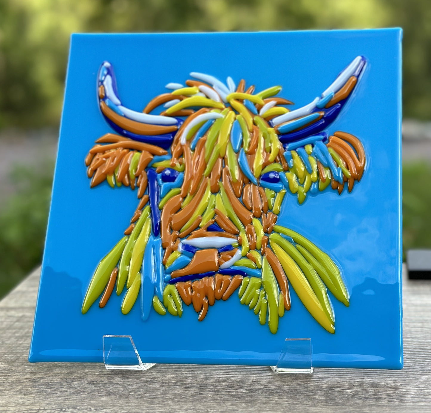 Highland Cow Portrait