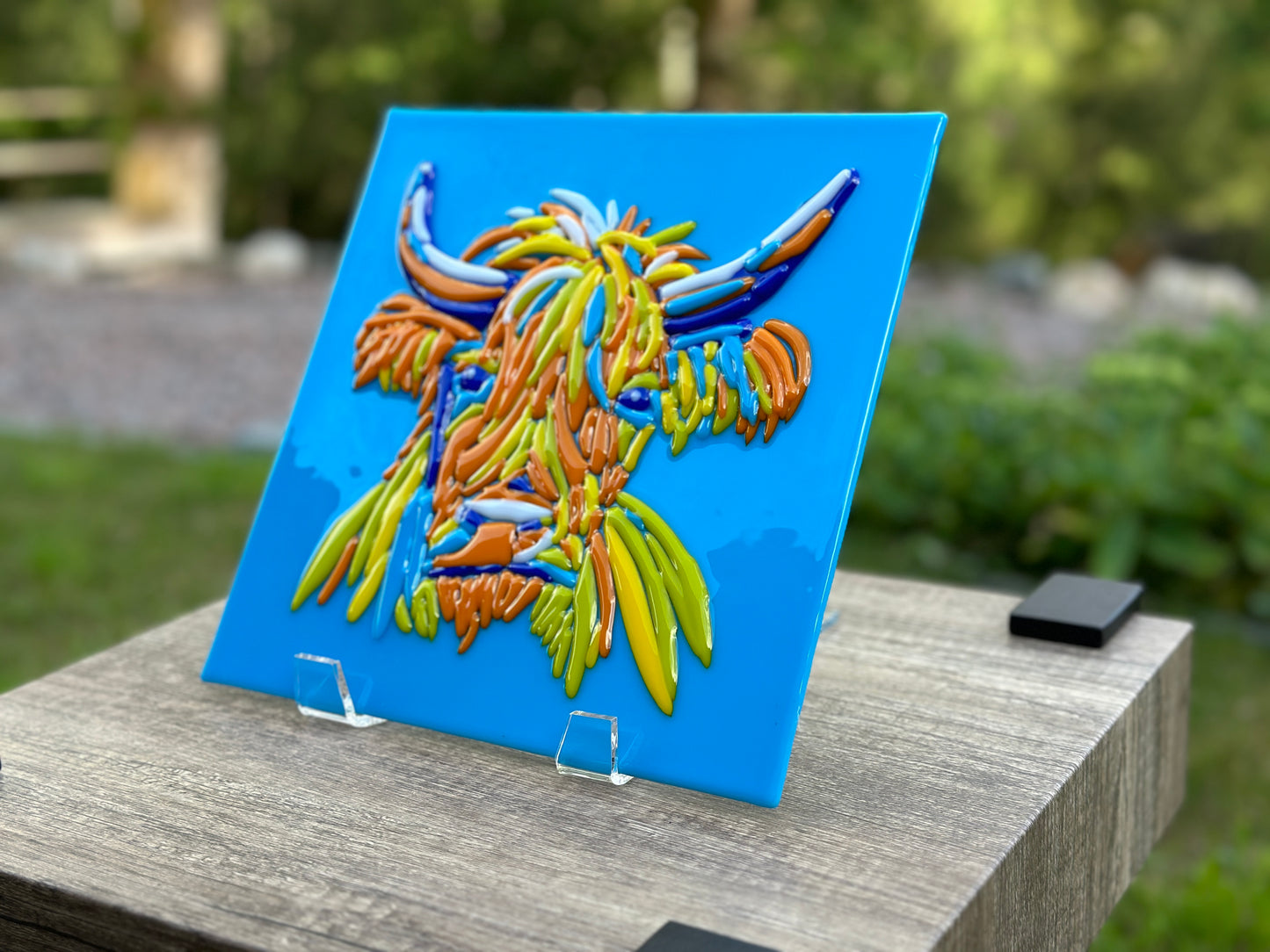 Highland Cow Portrait