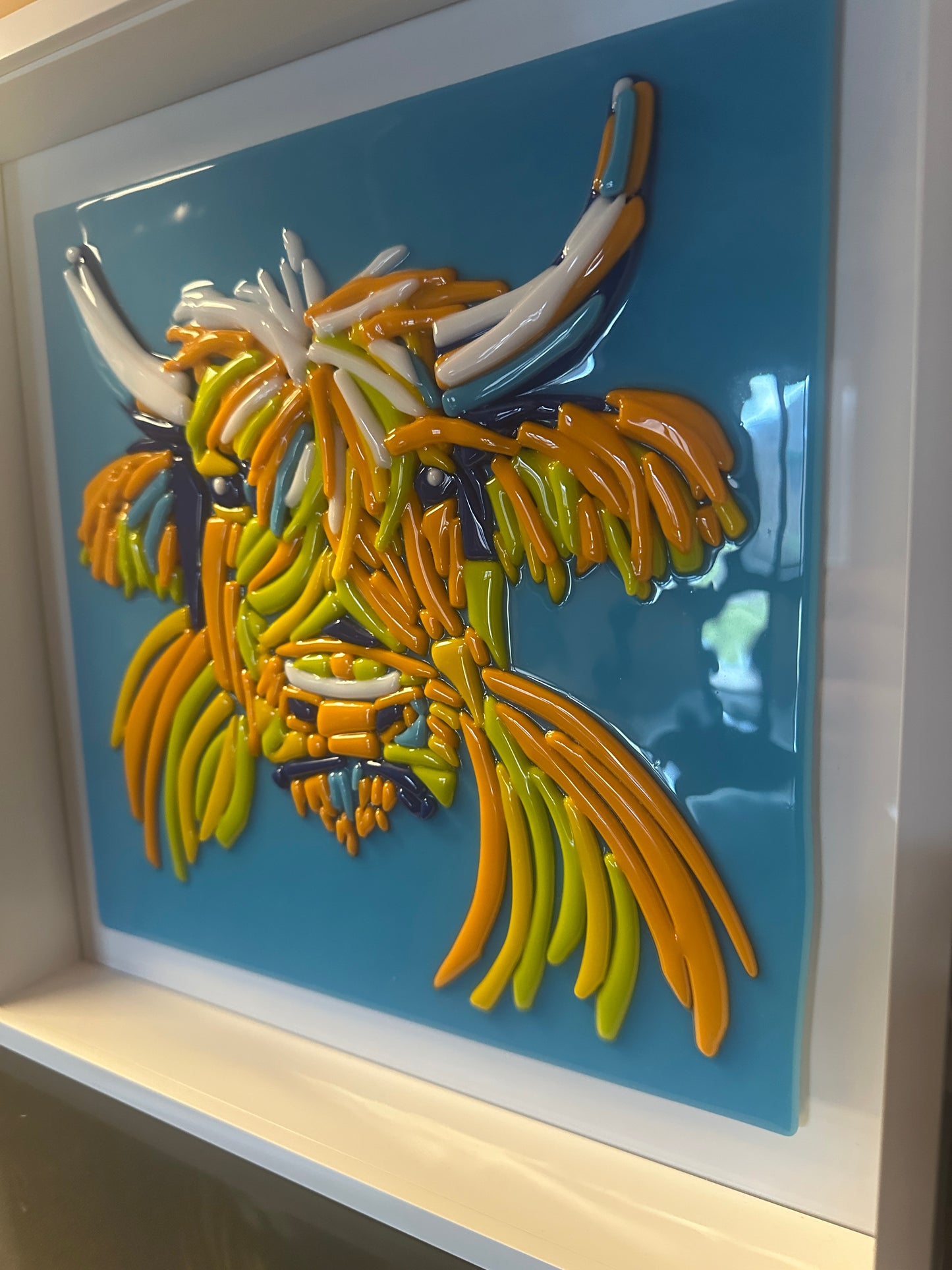 Highland Cow Portrait