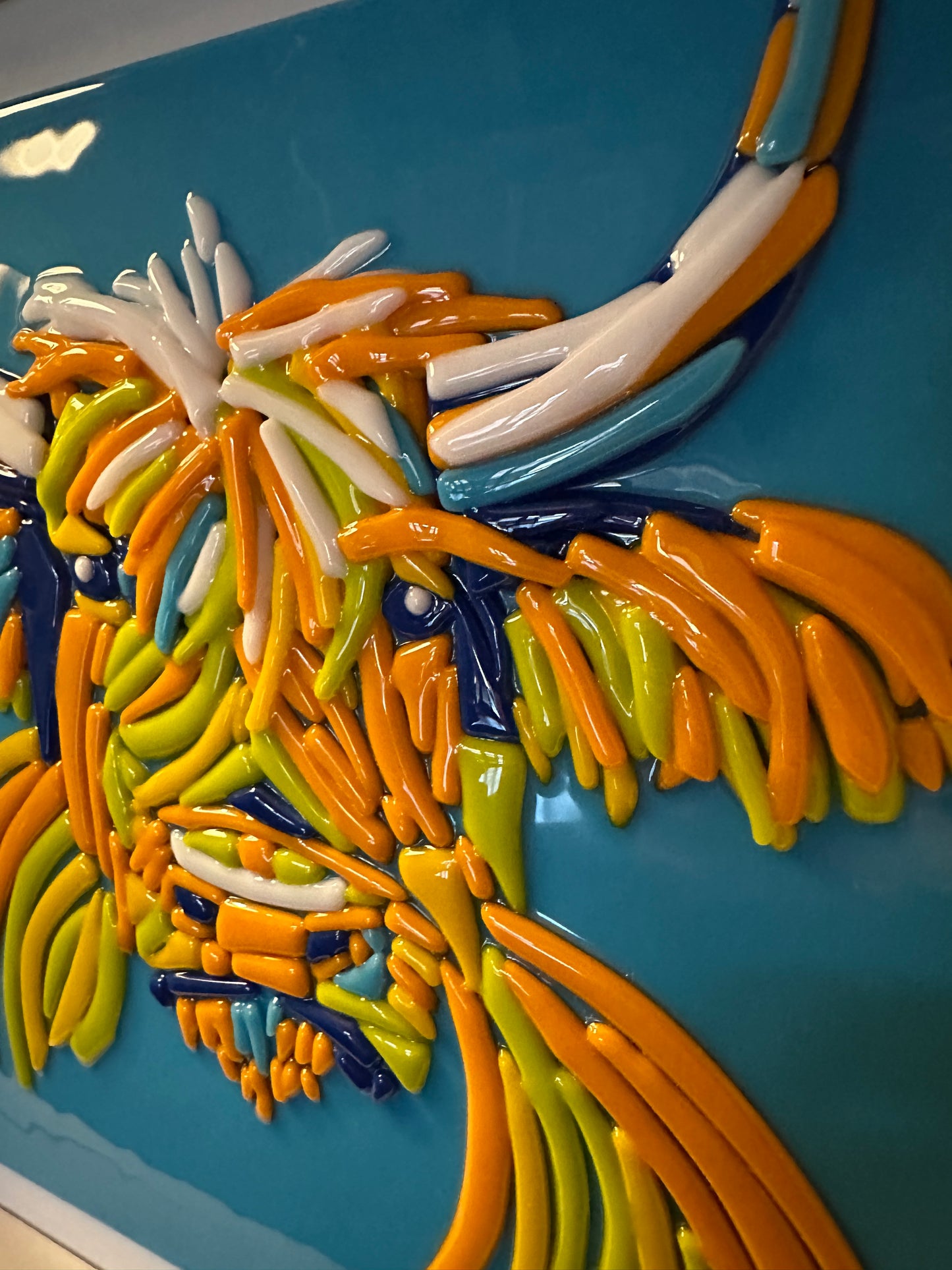 Highland Cow Portrait