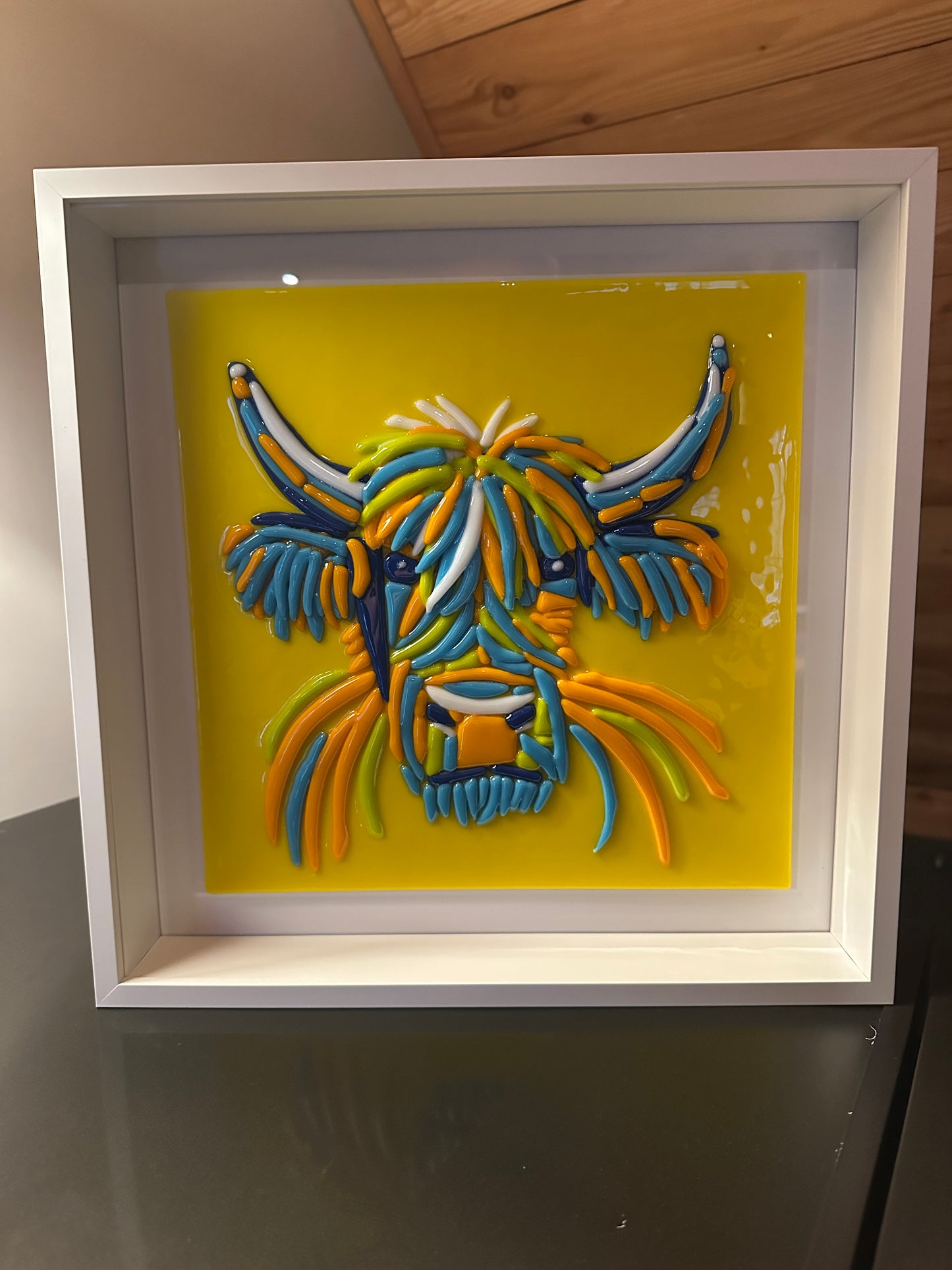 Highland Cow Portrait