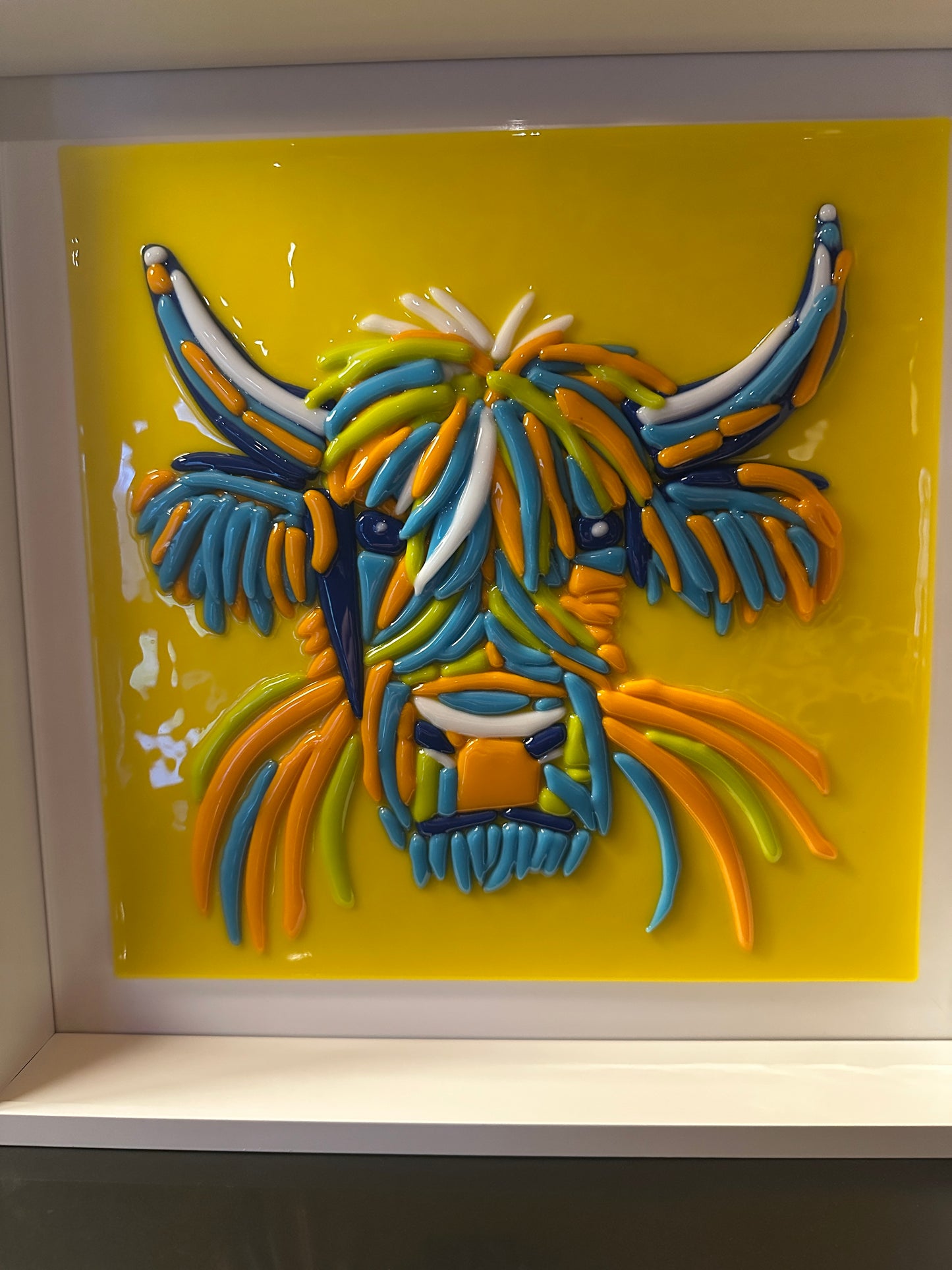 Highland Cow Portrait