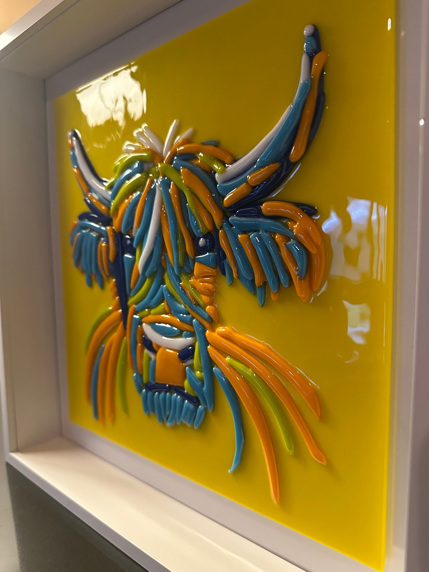 Highland Cow Portrait