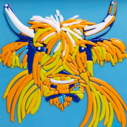 Highland Cow Portrait