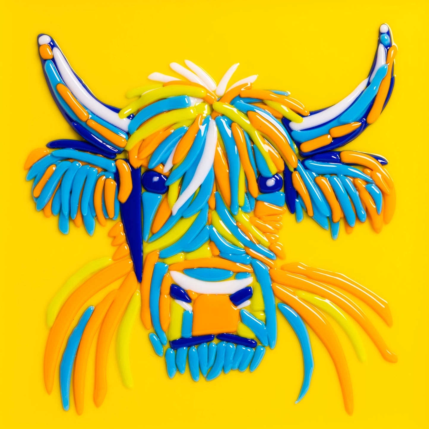 Highland Cow Portrait