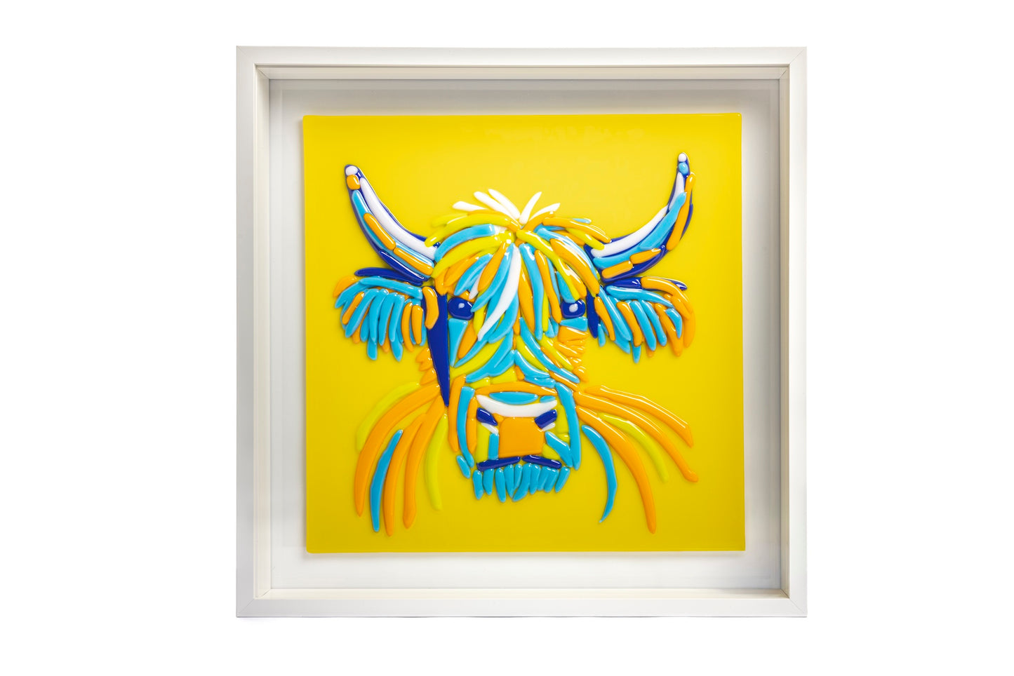 Highland Cow Portrait